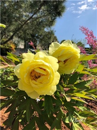 52c58f59-20190418 Bozuri.jpg